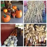 Rogers Family Orchards photo