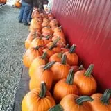 Rogers Family Orchards photo