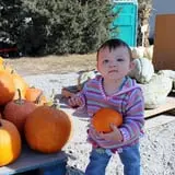 Papa  Charlie's  Pumpkin  Patch photo