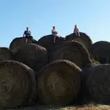 Papa  Charlie's  Pumpkin  Patch photo