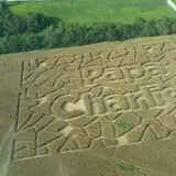Papa  Charlie's  Pumpkin  Patch photo