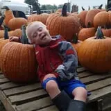Papa  Charlie's  Pumpkin  Patch photo