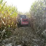 Papa  Charlie's  Pumpkin  Patch photo