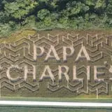 Papa  Charlie's  Pumpkin  Patch photo