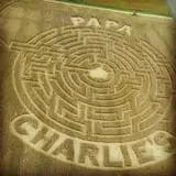 Papa  Charlie's  Pumpkin  Patch photo
