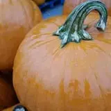 Papa  Charlie's  Pumpkin  Patch photo