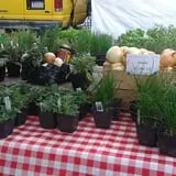 Mead Orchards photo