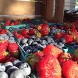 Mead Orchards photo