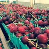 Mead Orchards photo