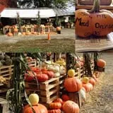 Mead Orchards photo