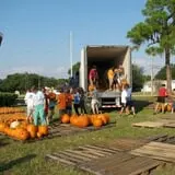 Riviera United Methodist Church Pumpkin Patch photo