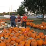 Riviera United Methodist Church Pumpkin Patch photo