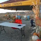Sonharvest Seasons Corn Maze & Pumpkins photo