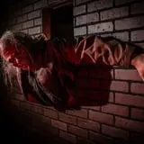 Basement of the Dead Legendary Escape Rooms photo