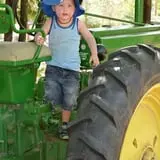 Sunflower Farm photo