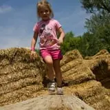 Sunflower Farm photo