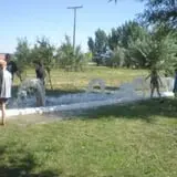 Sunflower Farm photo