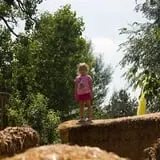 Sunflower Farm photo