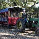 Nelson Farm Pumpkin Patch Festival photo