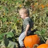 Nelson Farm Pumpkin Patch Festival photo