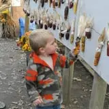Nelson Farm Pumpkin Patch Festival photo