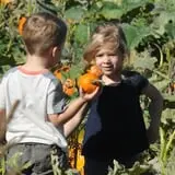 Nelson Farm Pumpkin Patch Festival photo