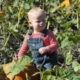 Nelson Farm Pumpkin Patch Festival photo