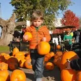 Nelson Farm Pumpkin Patch Festival photo