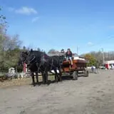 Nelson Farm Pumpkin Patch Festival photo