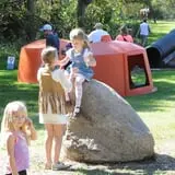 Nelson Farm Pumpkin Patch Festival photo