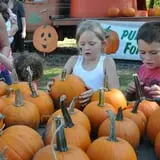 Nelson Farm Pumpkin Patch Festival photo