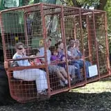 Nelson Farm Pumpkin Patch Festival photo