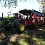 Nelson Farm Pumpkin Patch Festival photo