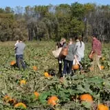 Nelson Farm Pumpkin Patch Festival photo