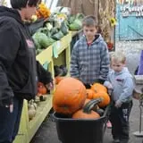 Nelson Farm Pumpkin Patch Festival photo