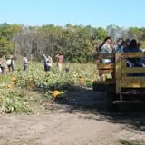 Nelson Farm Pumpkin Patch Festival photo