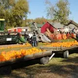 Nelson Farm Pumpkin Patch Festival photo