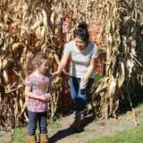 Nelson Farm Pumpkin Patch Festival photo