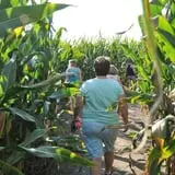 Nelson Farm Pumpkin Patch Festival photo