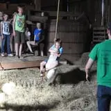 Nelson Farm Pumpkin Patch Festival photo