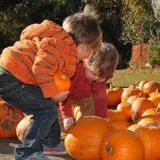 Nelson Farm Pumpkin Patch Festival photo