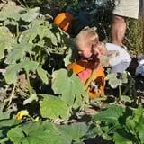 Nelson Farm Pumpkin Patch Festival photo