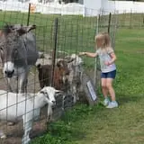 Nelson Farm Pumpkin Patch Festival photo