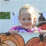 Nelson Farm Pumpkin Patch Festival photo