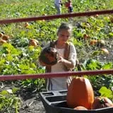 Nelson Farm Pumpkin Patch Festival photo