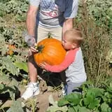 Nelson Farm Pumpkin Patch Festival photo