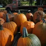 Nelson Farm Pumpkin Patch Festival photo