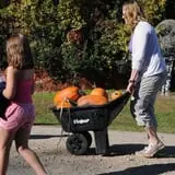 Nelson Farm Pumpkin Patch Festival photo