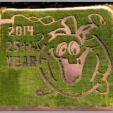 Nelson Farm Pumpkin Patch Festival photo