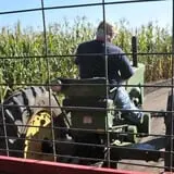 Nelson Farm Pumpkin Patch Festival photo